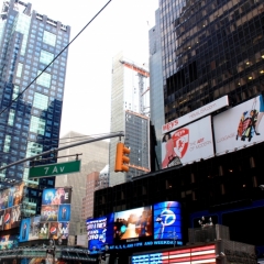 VS - New York (88)