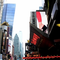 VS - New York (95)