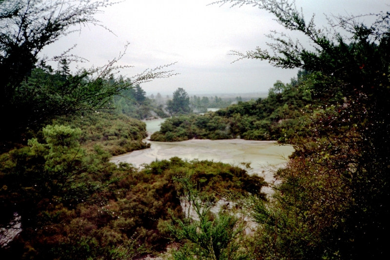 Nieuw-Zeeland (21)