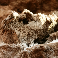 Noord Chili (34)