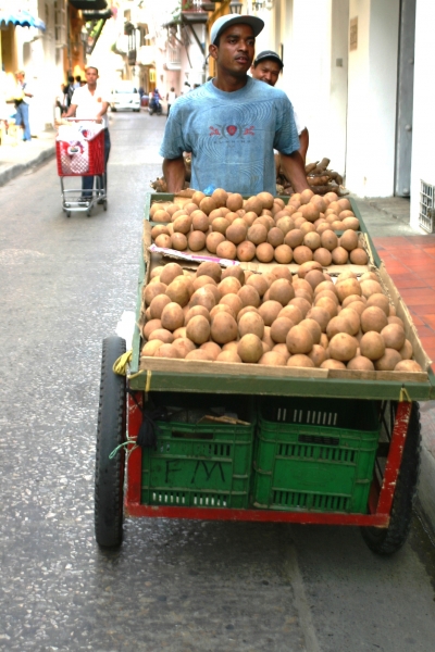 Noord Colombia (140)