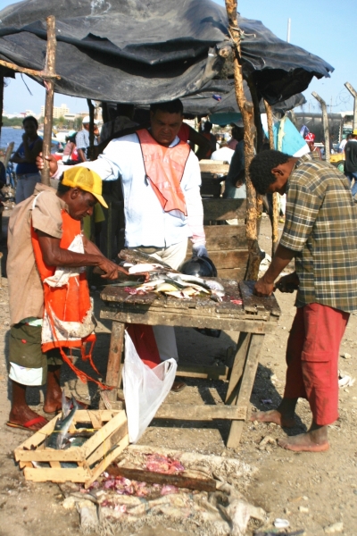 Noord Colombia (153)