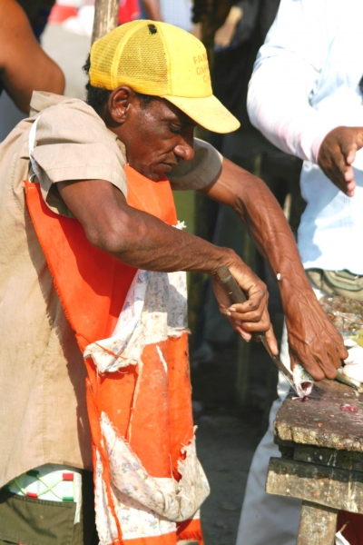 Noord Colombia (154)