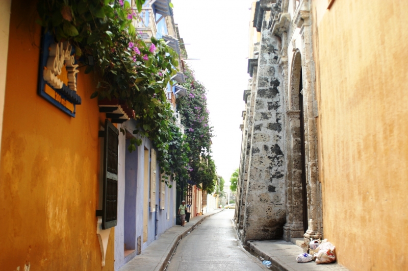Noord Colombia (177)