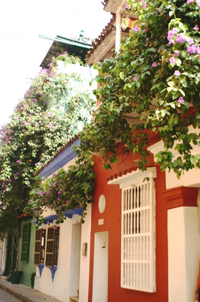 Noord Colombia (180)