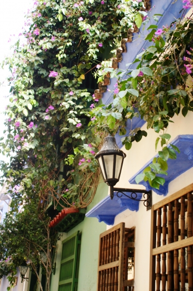 Noord Colombia (182)