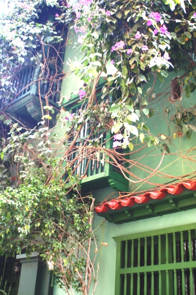 Noord Colombia (185)