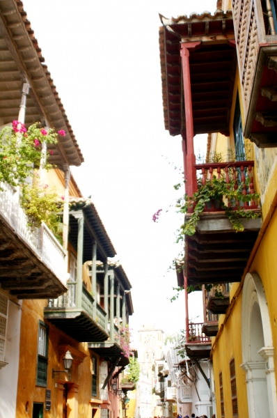 Noord Colombia (211)