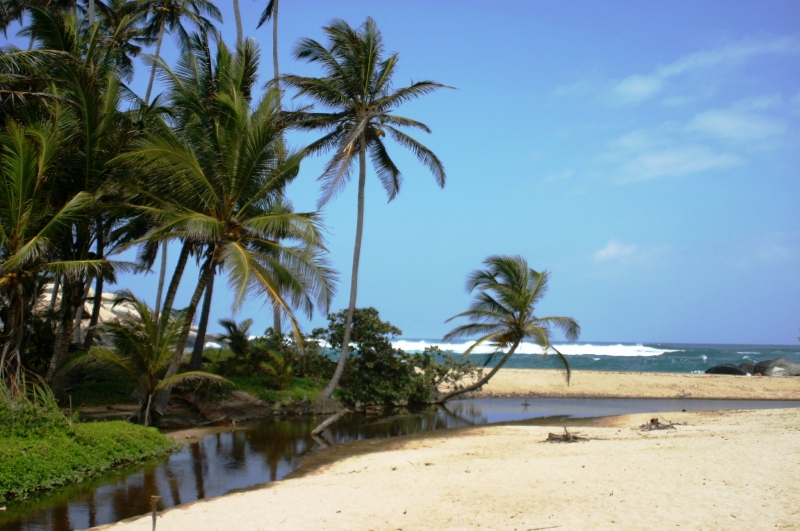 Noord Colombia (22)