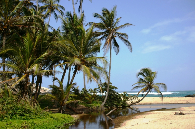Noord Colombia (24)