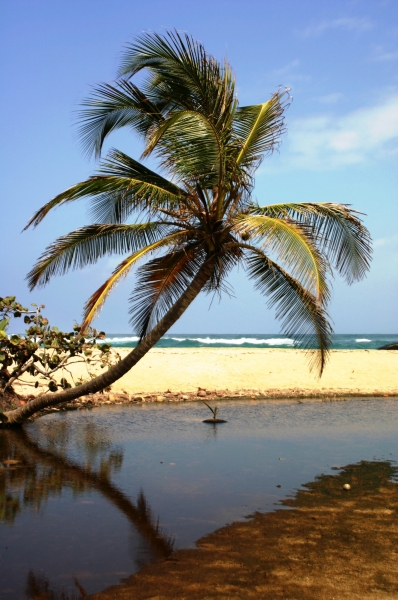 Noord Colombia (26)