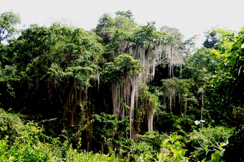 Noord Colombia (39)