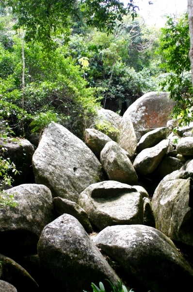 Noord Colombia (41)