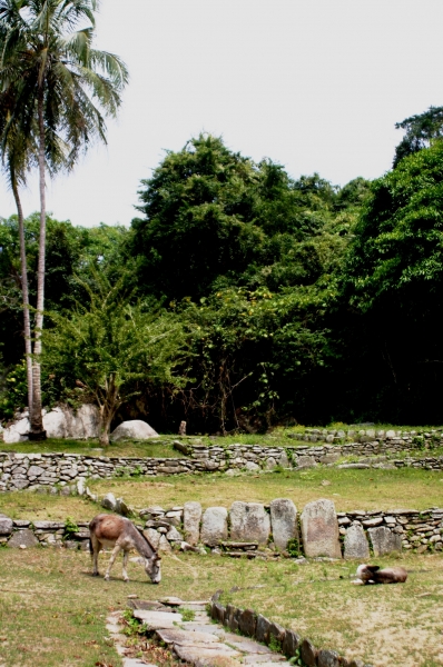 Noord Colombia (43)