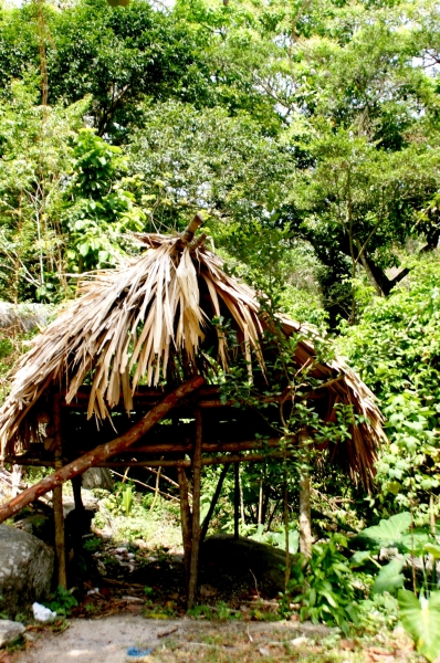 Noord Colombia (47)