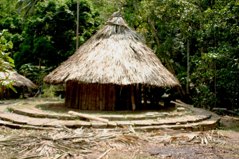 Noord Colombia (48)