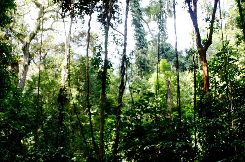 Noord Colombia (51)