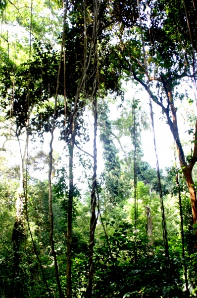 Noord Colombia (52)
