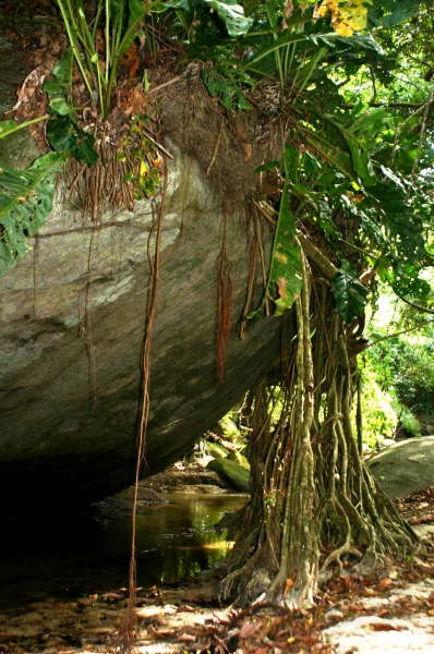 Noord Colombia (53)