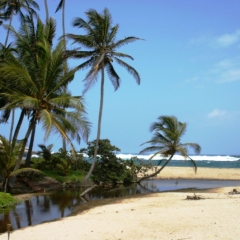 Noord Colombia (22)