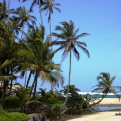 Noord Colombia (23)