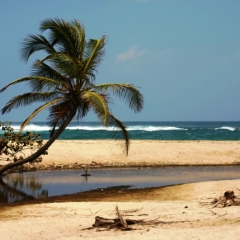 Noord Colombia (25)