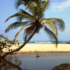 Noord Colombia (26)