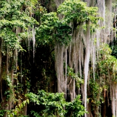 Noord Colombia (38)