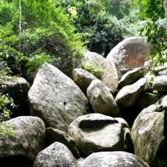 Noord Colombia (41)