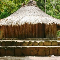 Noord Colombia (46)