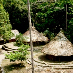 Noord Colombia (50)
