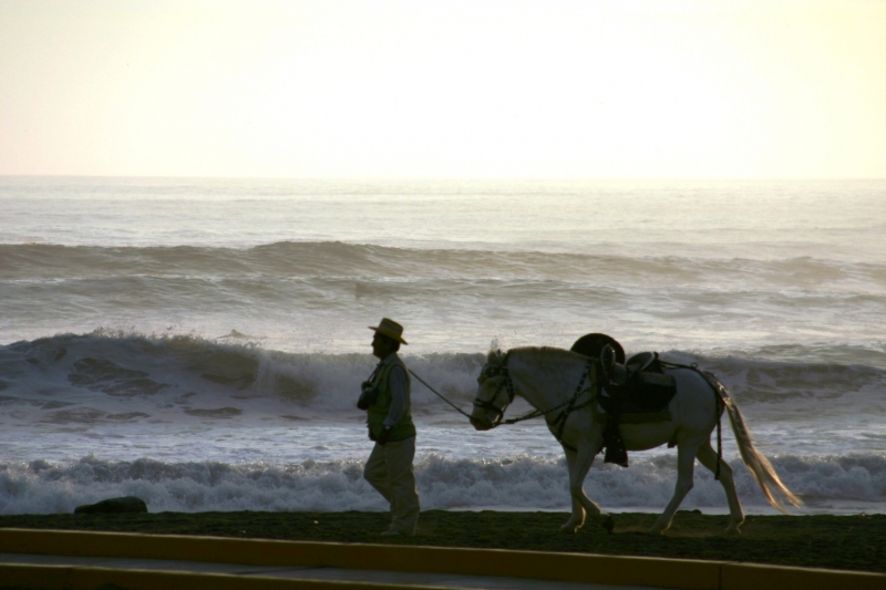Noord Peru (125)