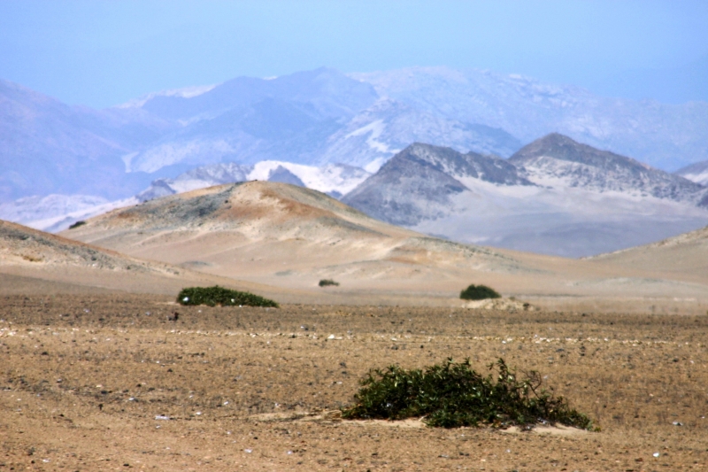 Noord Peru (140)