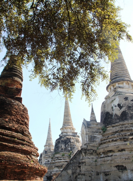Noord Thailand (105)