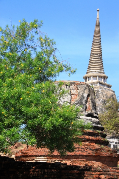 Noord Thailand (110)