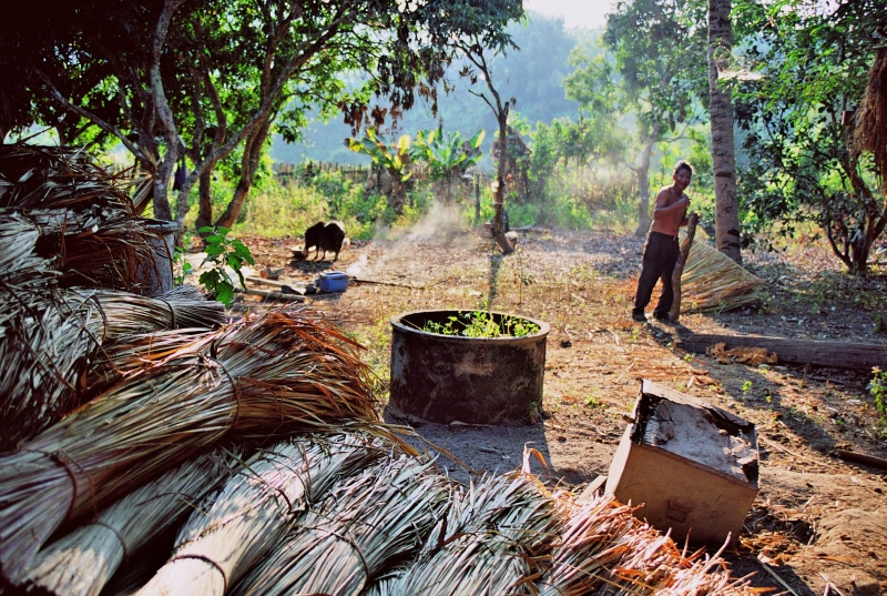Noord Thailand (213)