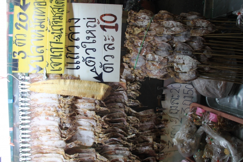 Noord Thailand (214)