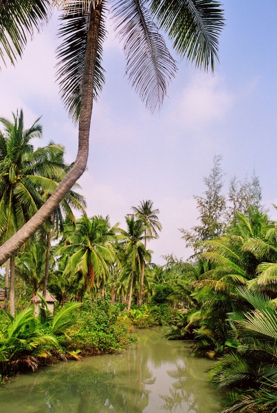 Noord Thailand (225)