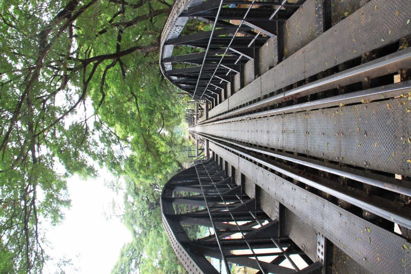 Noord Thailand (234)