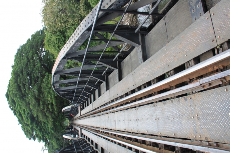 Noord Thailand (236)