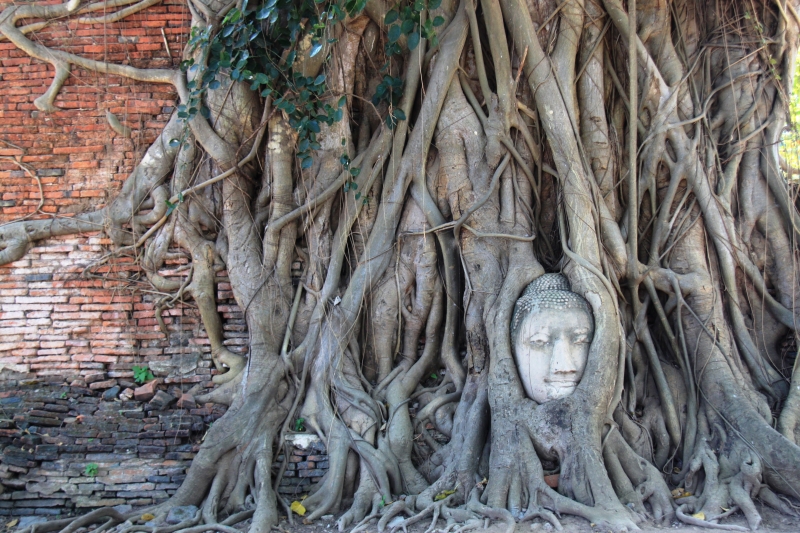 Noord Thailand (63)