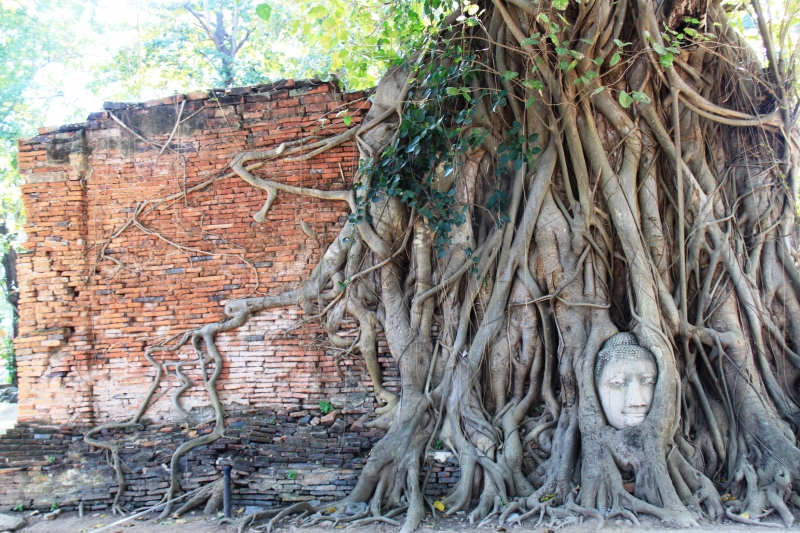 Noord Thailand (64)