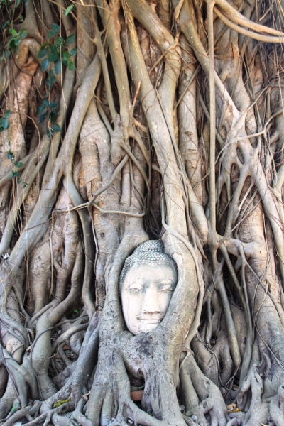 Noord Thailand (65)