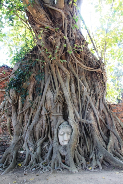 Noord Thailand (66)