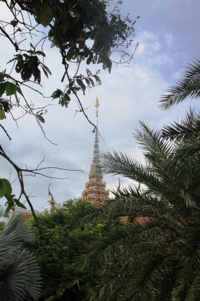 Noord Thailand (74)