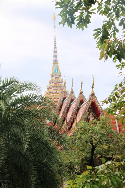 Noord Thailand (76)