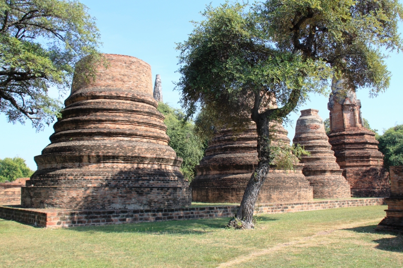 Noord Thailand (88)