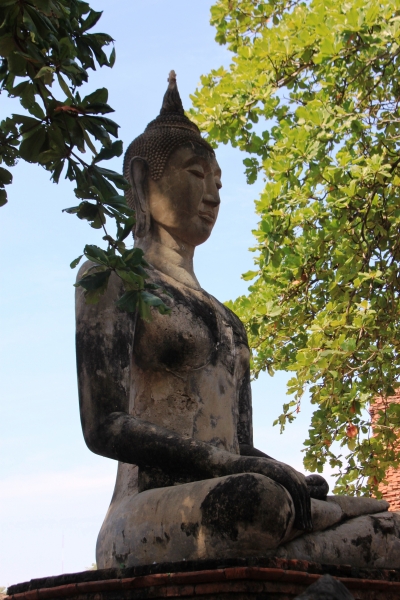 Noord Thailand (89)