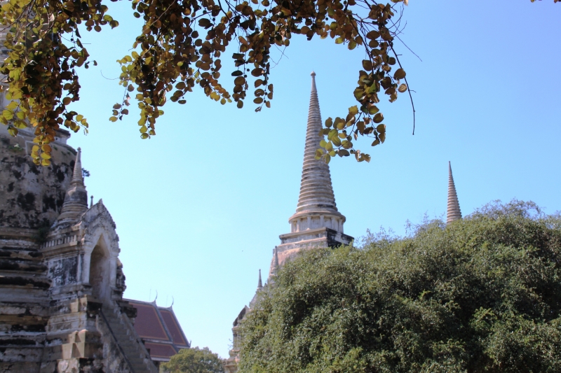 Noord Thailand (99)