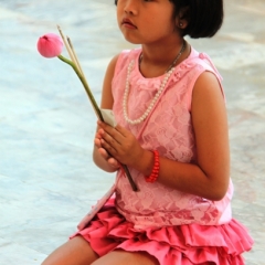 Noord Thailand (12)